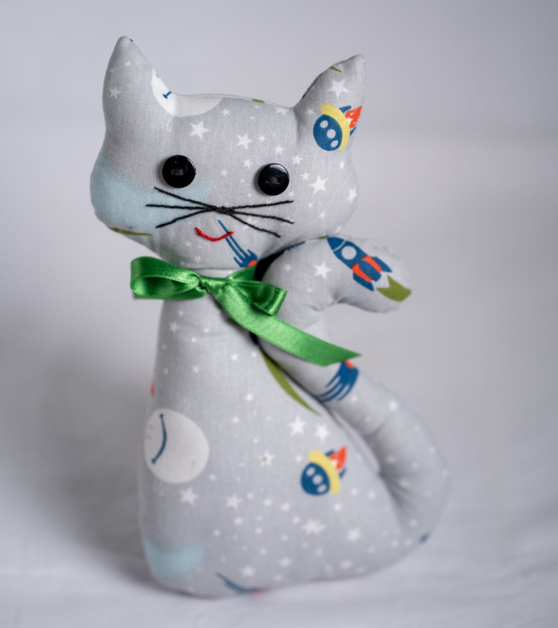 Galactic Meow