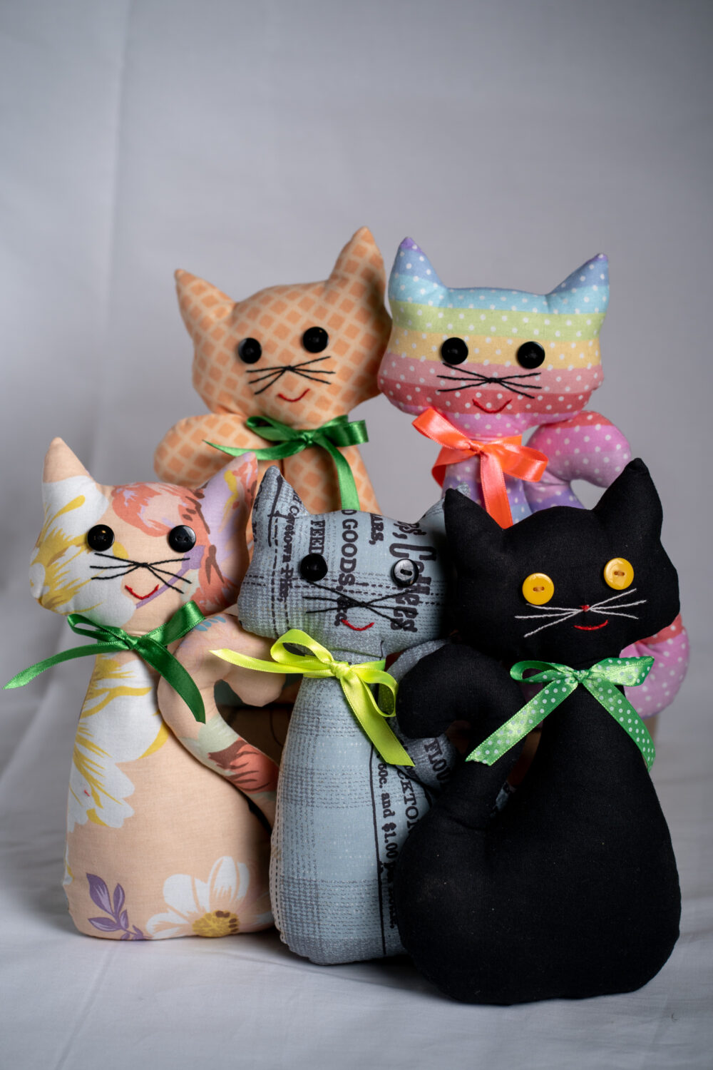 The Daily Meow - Image 4